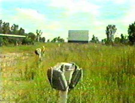 Northside Drive-In Theatre - Old Field - Photo From Rg